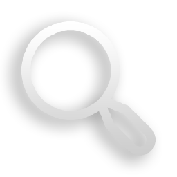 Zoom toggle icon